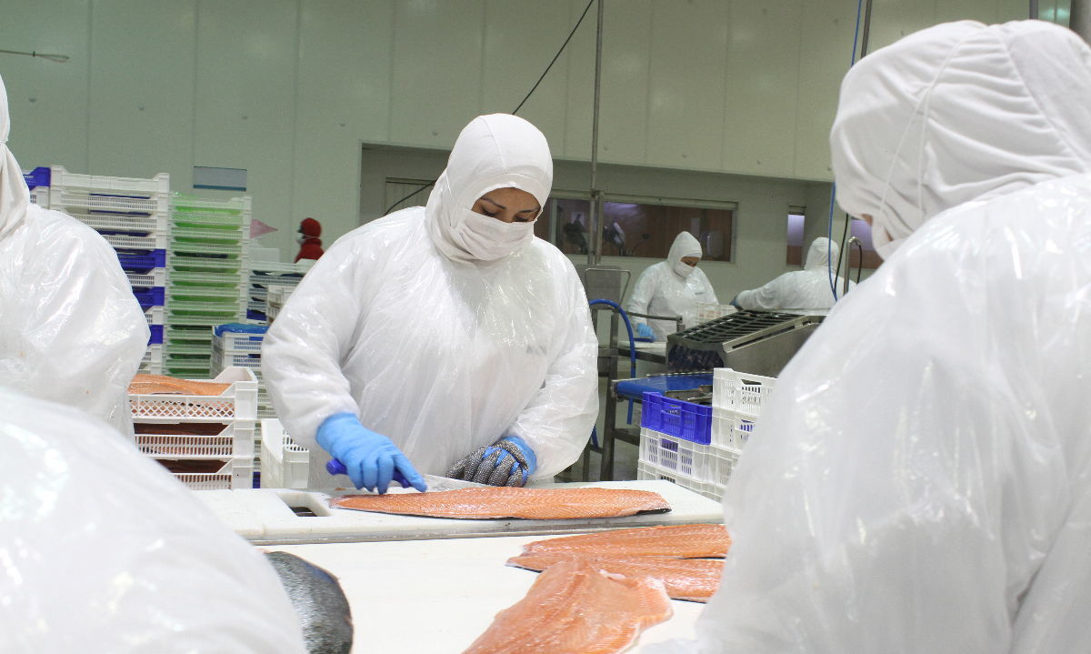 Empresas del Consejo del Salmón integran inteligencia artificial para modernizar la producción