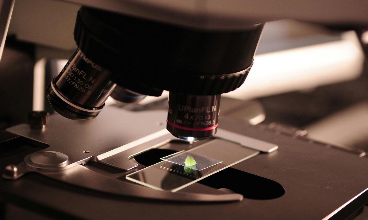 Foto de Pixabay: https://www.pexels.com/es-es/foto/primer-plano-de-microscopio-256262/