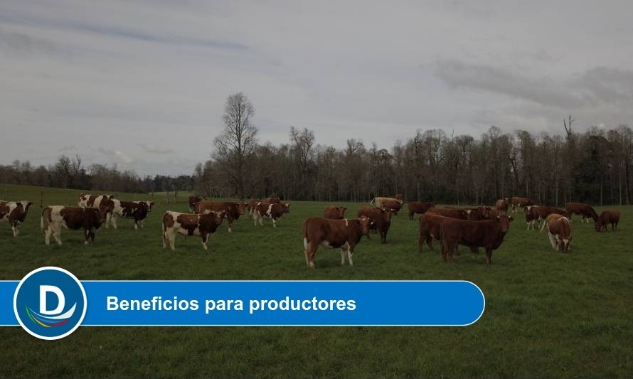 Forman Cooperativa Agroganadera apostando por la asociatividad