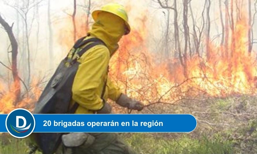 Coordinan acciones preventivas para hacer frente a incendios forestales