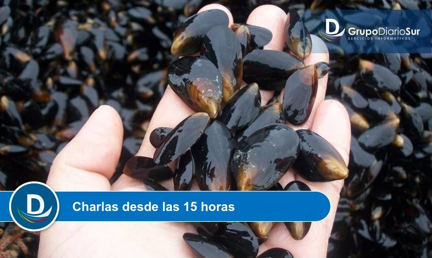 Fuente: Intemit.