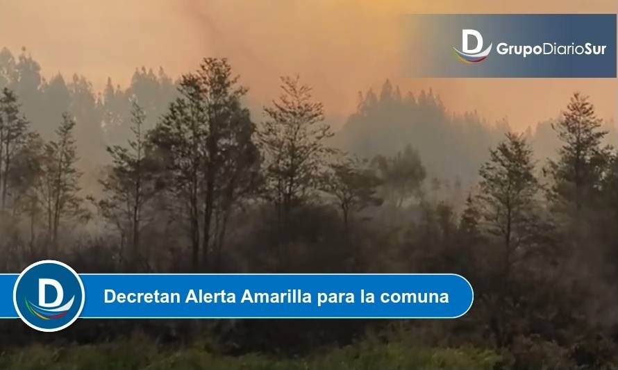 Más de 20 hectáreas había  consumido ya incendio forestal en Calbuco 