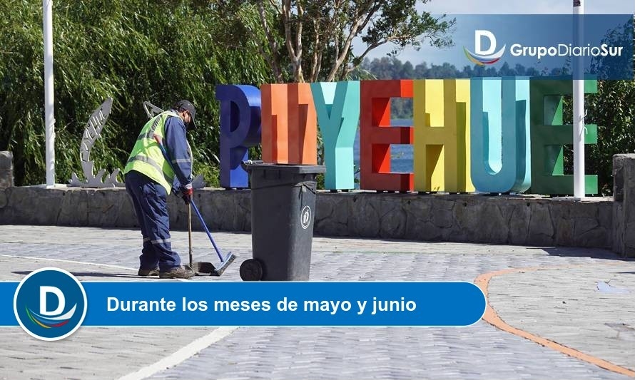 En Puyehue extienden el programa ProEmpleo 