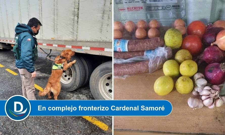 Brigada canina SAG intercepta productos ocultos en camión procedente de Brasil