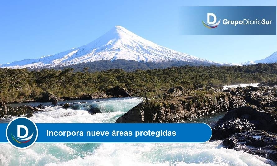 Fuente: Conaf Los Lagos.