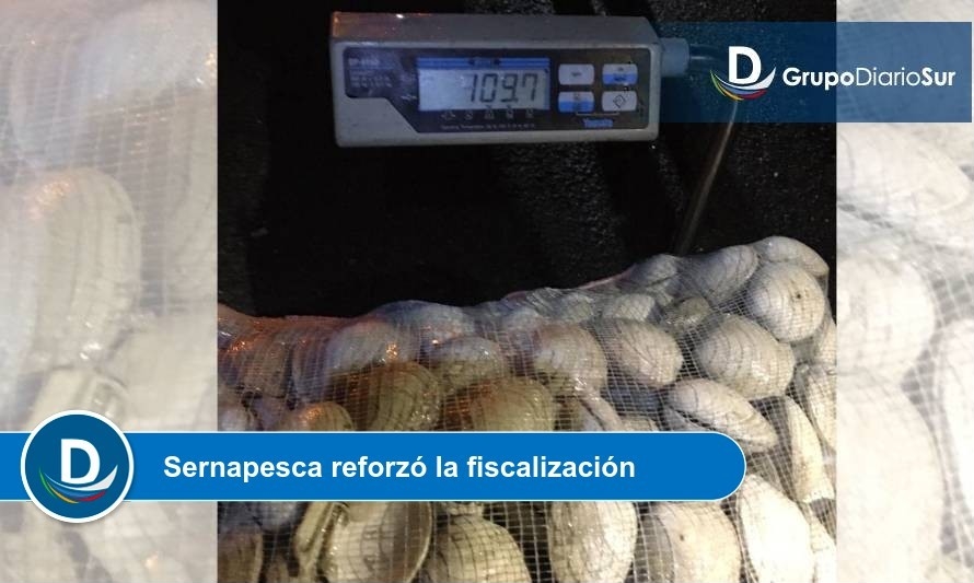 Incautan 10 toneladas de mariscos en Chiloé
