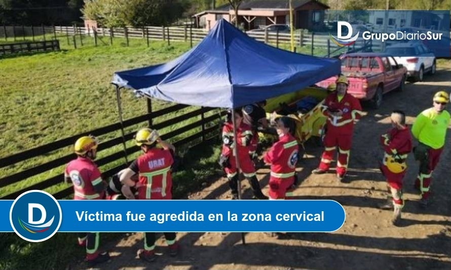 Fuente: Redes sociales URAT Osorno.