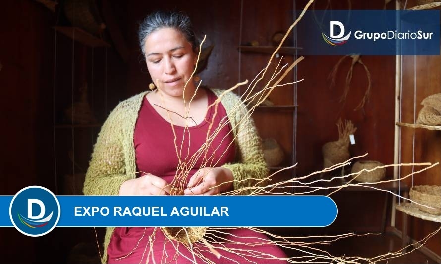 “Tejiendo el Bosque”: Artesana chilota expone en Santiago su cestería en quilineja 