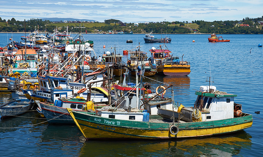 Región de Los Lagos: desembarque pesquero anotó caída de 11,9 % en diciembre
