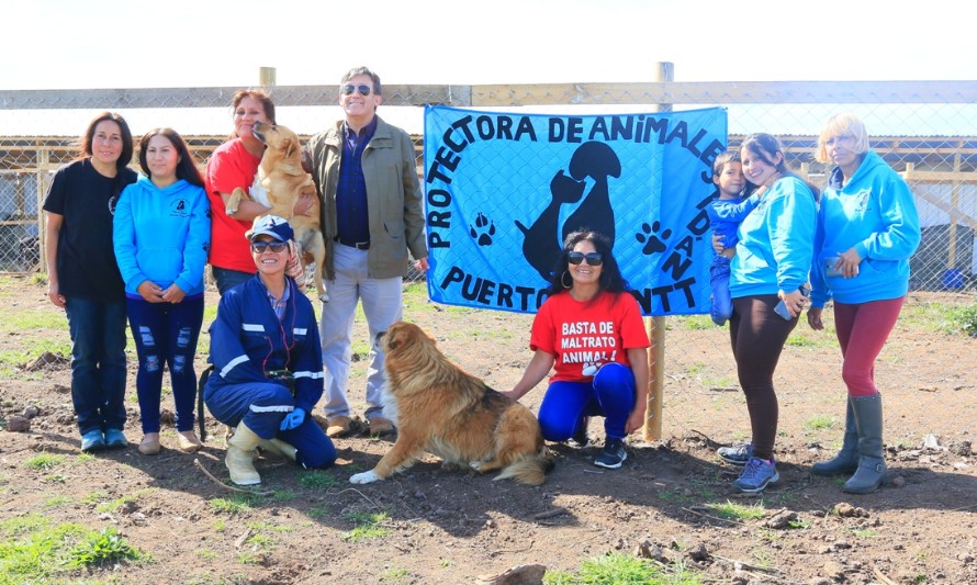 Puerto Montt: Subvención municipal permitirá atender gatos y perros abandonados en ex Vertedero Lagunitas